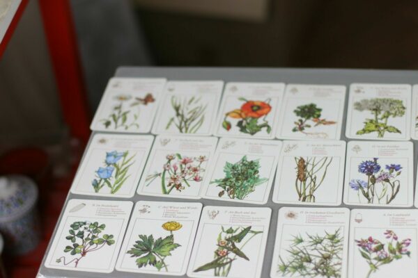 DDR Kartenspiel Lehrquartett Blüten am Wegesrand Quartett 1971 Botanik Botanica